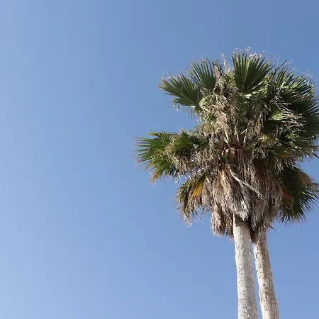 Hotell Les Sables Noirs & 4*