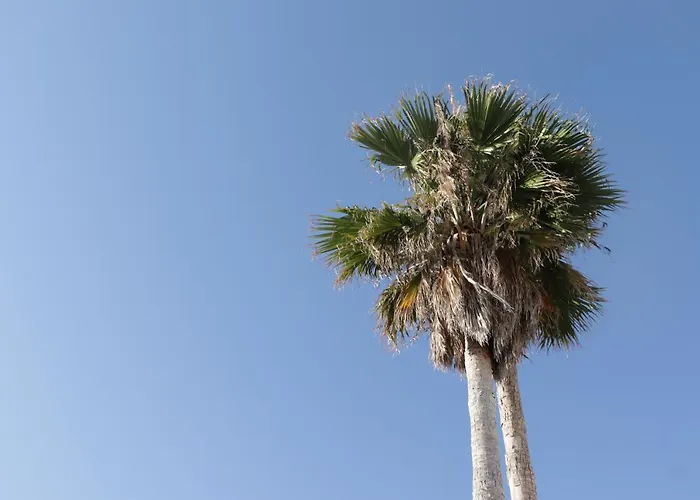 Hotel Les Sables Noirs & 4*